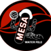 Program Logo