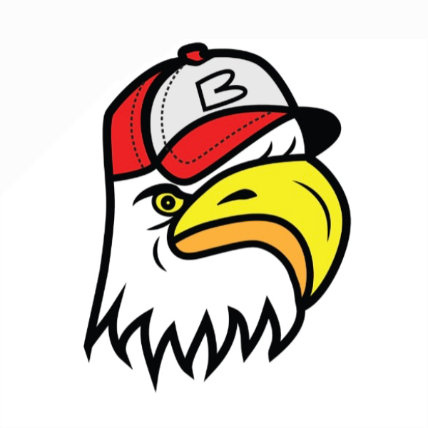 Barkhamsted Youth Baseball League Search for Activities, Events and more